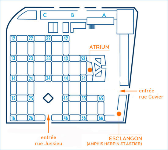 PlanUPMC_pt.jpg